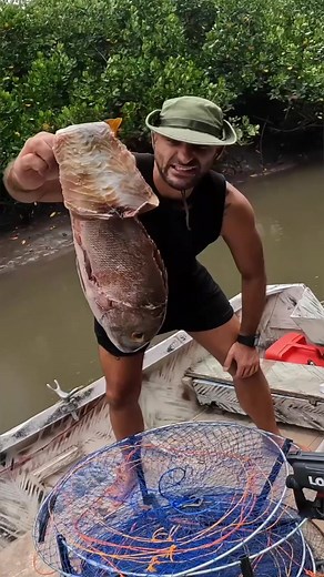 Mud Crab Hunting Adventure in the Mangroves