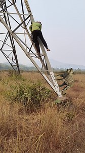 18M views · 36K reactions | Tiger attack  #shortsreels #viralvideoreels #navaratricollection #hardikpandya #jewelry #wildlifephotography #love #viral #trending #inspirationalvideosdear | Pratap Dehury | Facebook