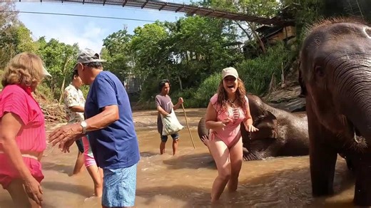 Playful elephant gives female tourist a kiss with its trunk
