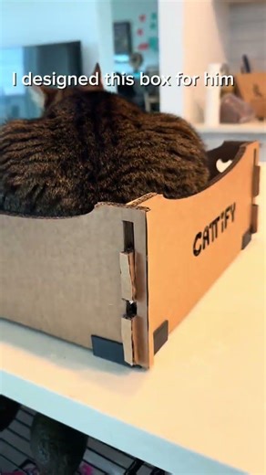 I made this simple box for my cat. Handmade with love. #cattify