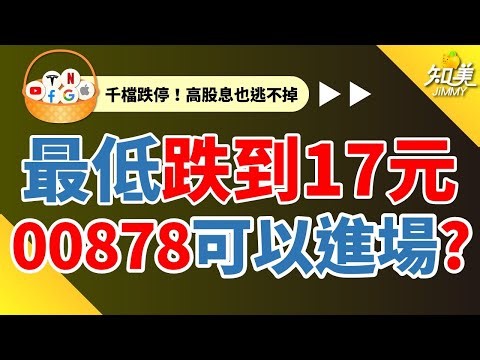 【最低跌到17元】00878（國泰永續高股息）可以進場？｜知美JiMMY