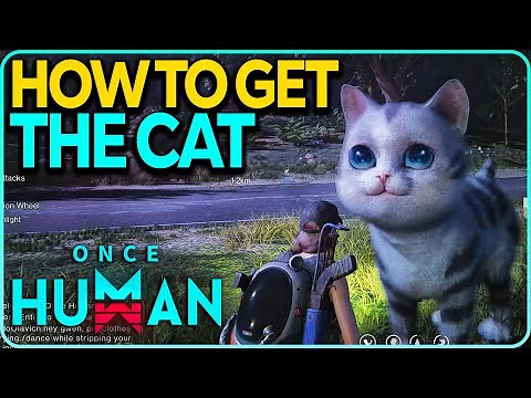 How To Get Extradimensional Cat in Once Human