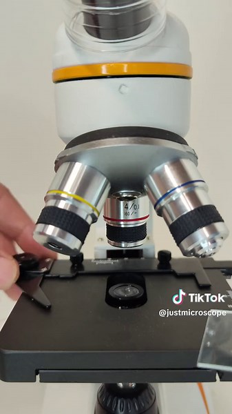 microscope on TikTok