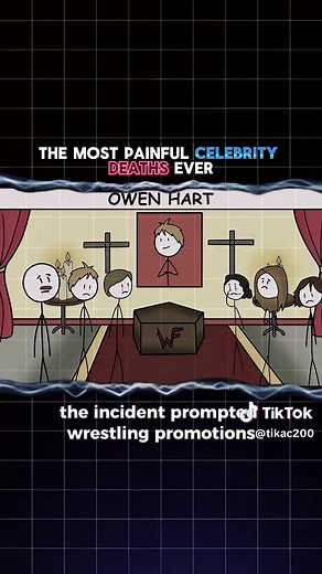 The Tragic Death of Owen Hart: A WWE Incident