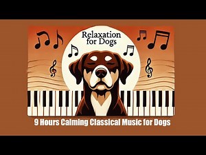 Calming Classical Music for Dogs | Relaxing Sounds for Anxiety & Deep Sleep | 9 Hours