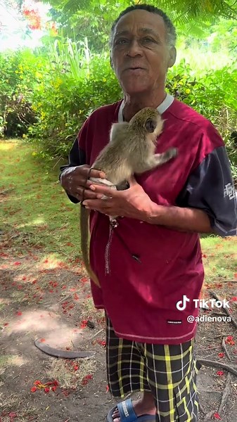 Discover St. Kitts: Fun Island Tour Highlights