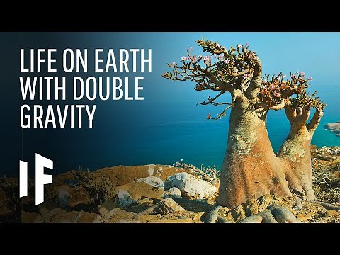 What If Earth’s Gravity Was Stronger?