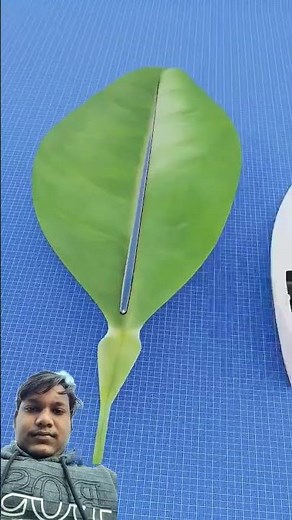 how to make a compass, make compass🤔🤔🤔