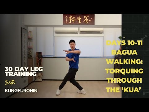 Bagua stepping: torquing through the kua - 30 day leg training by Kung Fu ronin