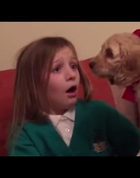 Little Girl Reacts to Puppy Surprise | The Dodo