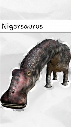 The Dinosaur Have 500 Teeth