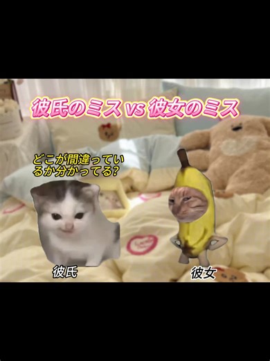 女子と男子の違い：恋愛における猫ミーム