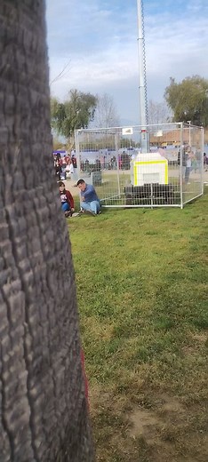 Sonic Mask Interaction in Outdoor Setting