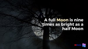 10 Fascinating ASTRONOMY Facts "Astronomy is one of the oldest...