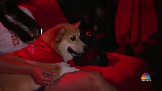 Dogs and humans welcome at this unique Texas movie theater