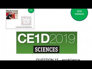 CE1D 2019 question 15 + corrigé