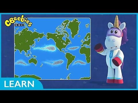 CBeebies | Go Jetters | The Great Pacific Garbage Patch Funky Facts