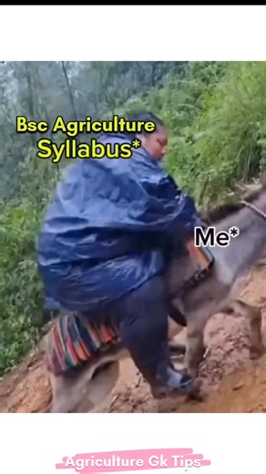 agriculture gk tips on Instagram: "Follow for more #agriculture questions Agriculture Bsc Bsc Agriculture . . . #agriculturesupervisor #bscagriculture #agriculturequiz #horticulture"