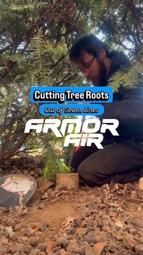 Cutting Tree Roots Out of Sewer Lines