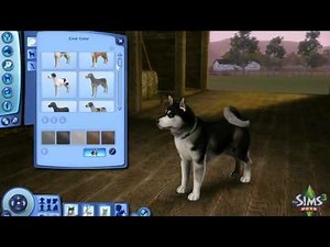 The Sims 3 Pets Expansion Review