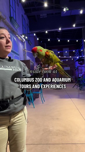 Experience Columbus on TikTok