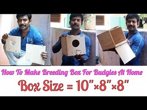 How to make Budgies Nesting box at home.Easy way to make wooden breeding box #Budgies#breeding#wood