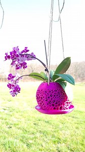 Hanging Planter With Drainage Tray for Orchids - Indoor / Outdoor - Etsy