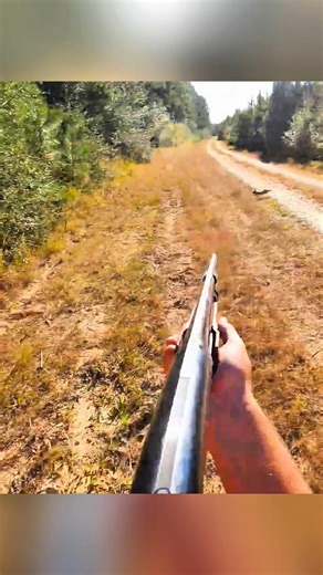 Охота на кролика — быстрый и точный выстрел#охота #охотанакролика #кролик #охотник