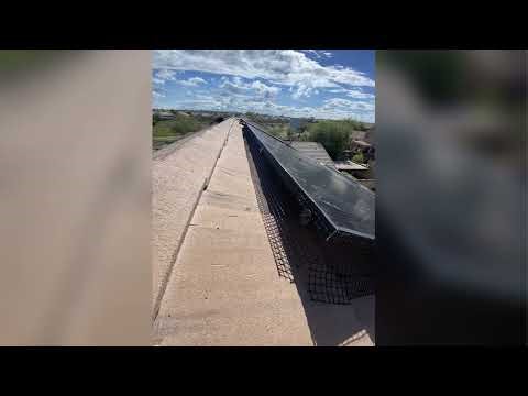 Comprehensive Pest Control by Semper Fi: Rodents, Insects & Scorpions in Maricopa, AZ