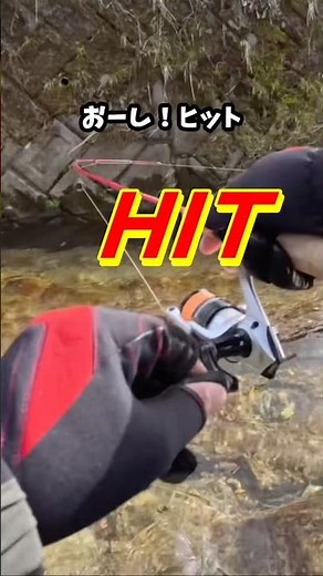 It actually catches fish! Using the Smith AR Spinner with a Trout Ranger #fishing #shorts