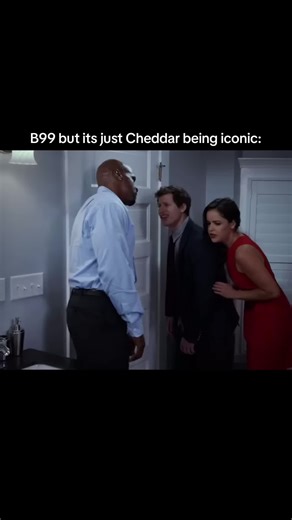 Cheddar The Dog Moments in Brooklyn Nine-Nine