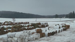 1.9K views | South Central Livestock Exchange, LLC on Reels | Facebook