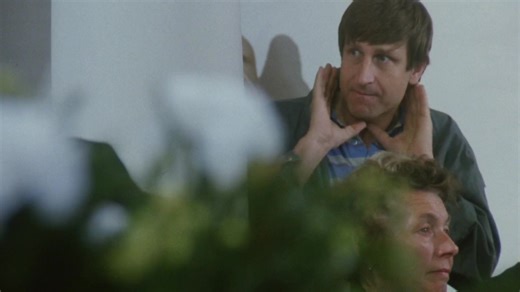 České filmy | Seznam TV_TV tip | Stream