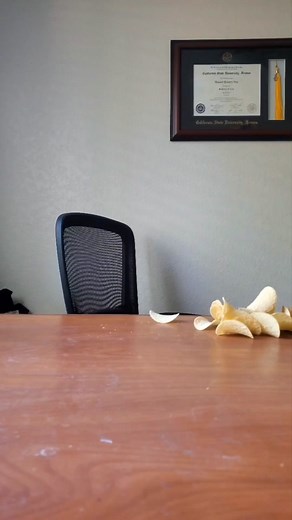 Pringles Challenge: Creating a Perfect Circle with Snacks