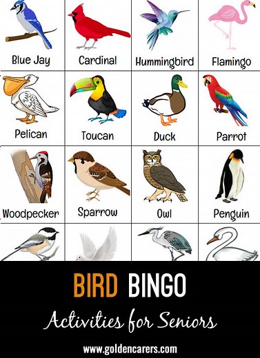 Bird Bingo