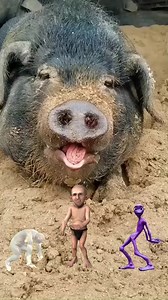 271K views · 888 reactions | Dancing Gorilla joker alien eating...