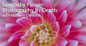 48 reactions · 16 shares | Introducing the Lensbaby Flower Photography In-Depth Video Tutorial with Kathleen Clemons! Follow along as Kathleen Clemons Photography teaches a small group workshop at the Swan Island Dahlia Farm in Oregon. This online video tutorial is packed full of practical advice, detailed information and insider tips to help you master your own flower photography and beyond. Take the course now: https://lensba.by/KathleenClemonsTutorial | Lensbaby | Facebook