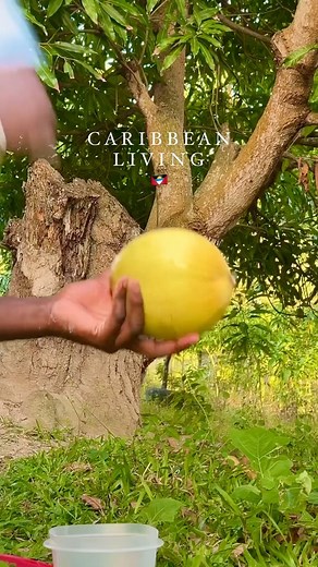 13K views · 162 reactions | Island Life Unleashed! Let the vibrant...