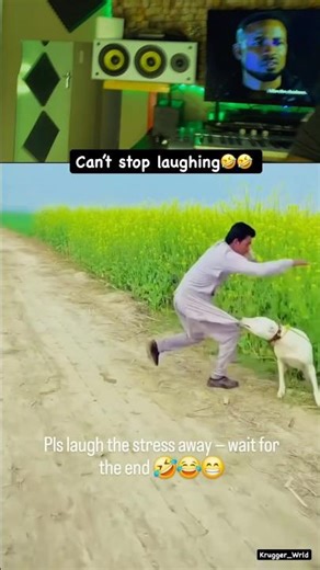 Can’t stop laughing😹😹😹