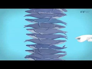 Waste-to-Energy - Clean Energy and Sustainable Waste Management