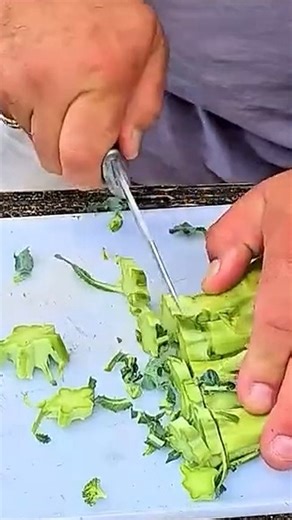 Cooking wild: Edible plants and mushrooms