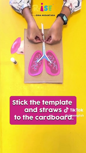 Exploring the Respiratory System: Fun Arts and Crafts Project for Kids