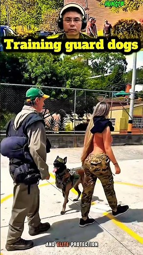 Elite Protection Dog Training Methods | Amazing K9 Skills You Must See🐶#dogs #training #gooddog
