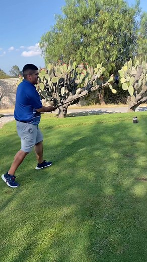 Mr Bogey is back | Cesar Alvarado