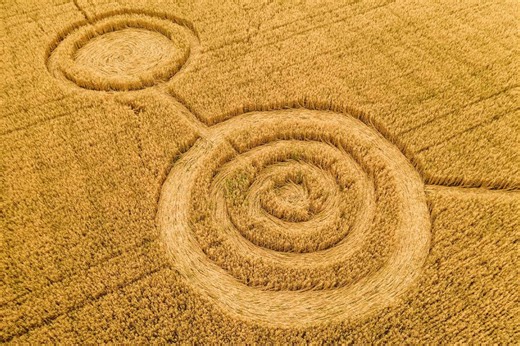 Why We See Crop Circles (And It Has Nothing to Do With Aliens)