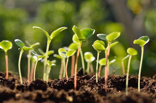 Gel au sol : une bonne nouvelle pour le sud du Québec - MétéoMédia