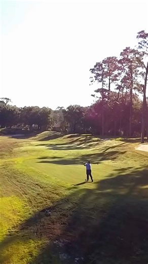 4.3K views · 29 reactions | ⛳ Savvy golfers know the Daytona Beach area is home to an excellent selection of courses for novices and pros, including the highly-acclaimed LPGA International. Golf packages are available. MORE: https://bit.ly/2YeTcmE | Daytona Beach Area Convention and Visitors Bureau | Facebook