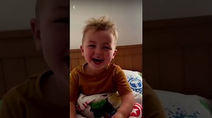 Boy names his pet moth - Offbeat