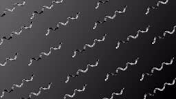 Animated black and white color changing squiggly line pattern...