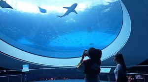 46 reactions | Three reasons to visit Frost Science during Spring...